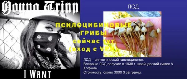 spice Алексин