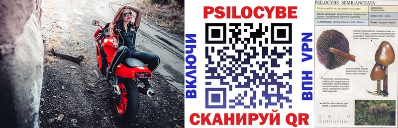 Галлюциногенные грибы Cubensis  omg вход  мориарти клад  купить  сайты  Дзержинск 