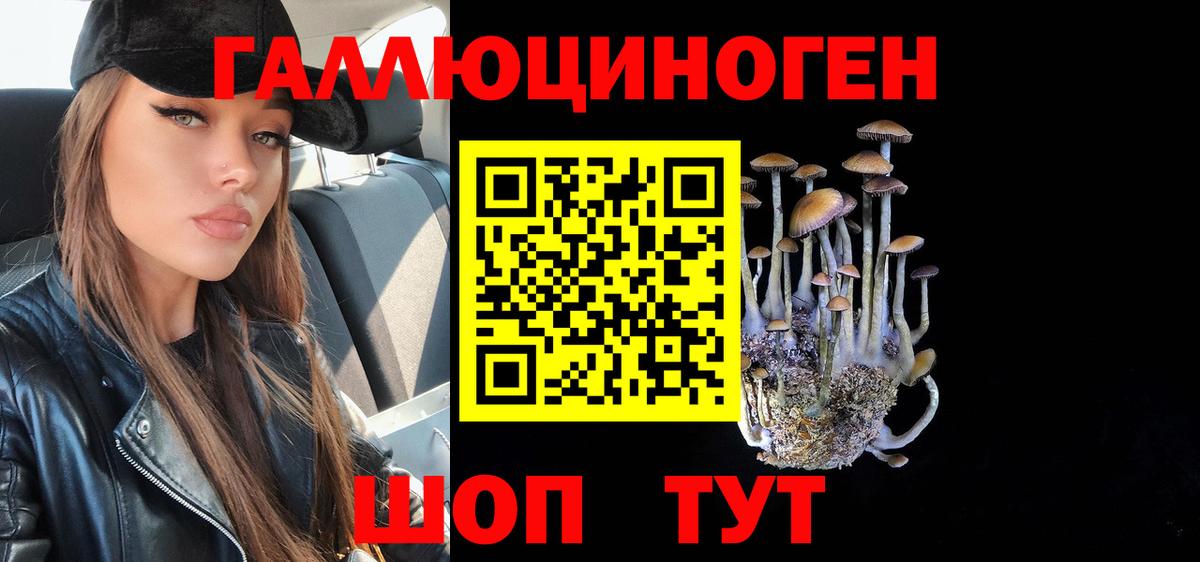 Галлюциногенные грибы Magic Shrooms Дзержинск